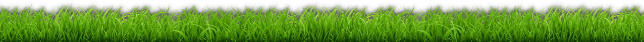 grass